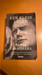 Hanya Yanagihara - Een klein leven, Gelezen, Ophalen of Verzenden, Hanya Yanagihara, Amerika