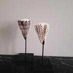 Mooie set grote echte conus schelpen bruin wit op voet japan, Huis en Inrichting, Nieuw, Ophalen of Verzenden, X, X