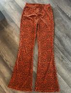 Colourful Rebel flared pants big star velvet, maat M, Ophalen of Verzenden, Nieuw, Rood, Lang