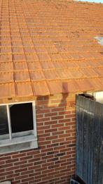 KOOPJE dakpannen van de gebroeders Noten in Swalmen, Ophalen, Gebruikt, Steen of Klei, 15 m² of meer