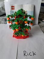 Lego set 40648, Kinderen en Baby's, Speelgoed | Duplo en Lego, Ophalen of Verzenden, Zo goed als nieuw