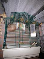 Vogel kooi, Dieren en Toebehoren, Ophalen, Zo goed als nieuw, Metaal, Vogelkooi