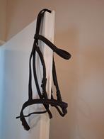 Hoofdstel maat pony, Dieren en Toebehoren, Ophalen, Gebruikt