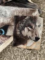 3 delig set, Ophalen of Verzenden, Zo goed als nieuw