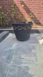Vuurkorf nooit gebruikt, Tuin en Terras, Ophalen of Verzenden, Nieuw
