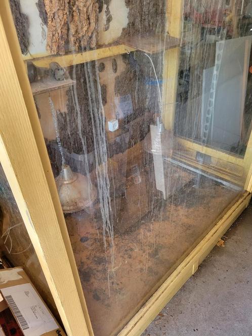 Groot Terrarium, XXL opknapper, Dieren en Toebehoren, Reptielen en Amfibieën | Toebehoren, Gebruikt, Terrarium of Paludarium, Ophalen