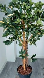 Kunstboom/plant, Ophalen