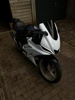Yamaha TZR50 R3 77cc stage 6, Ophalen, 6 versnellingen, Maximaal 45 km/u, Yamaha