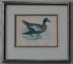 ingekleurde ets, Antiek en Kunst, Kunst | Etsen en Gravures, Ophalen of Verzenden