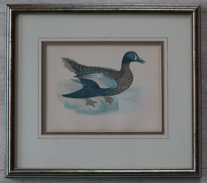 ingekleurde ets, Antiek en Kunst, Kunst | Etsen en Gravures, Ophalen of Verzenden