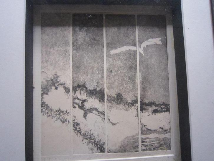 Byzondere 4 delige ets, Strand met Vogels Mooi kastje, Antiek en Kunst, Kunst | Etsen en Gravures, Ophalen