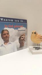 Snoek, Laurens; Waarom zou ik.. in God geloven?, Boeken, Godsdienst en Theologie, Ophalen of Verzenden, Gelezen, Christendom | Protestants