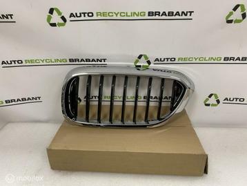 Grill Nier Links BMW 5 Serie G30 G31 M-PAKKET 51137390863 beschikbaar voor biedingen