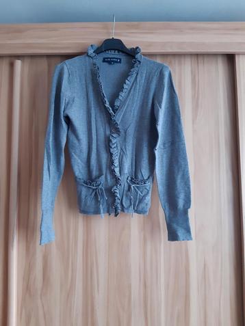 Grijs vestje Blue River XS beschikbaar voor biedingen