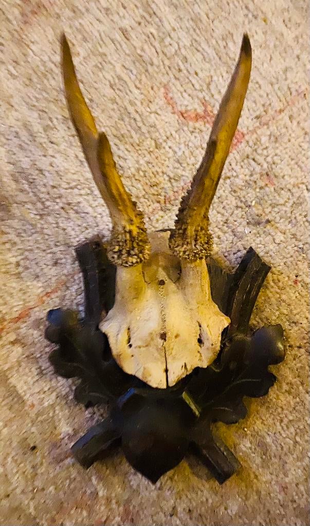 Vintage Reegeweitje jaren 50/60, Ophalen of Verzenden, Gebruikt