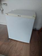 Mini koelkast Proline, Ophalen, Minder dan 85 cm, Minder dan 60 cm, Zo goed als nieuw