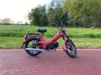 Tomos (snor)brommer, Ophalen, Gebruikt, 49 cc, Standard