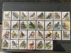 Vogels België voorafgestempeld Buzin....., Postzegels en Munten, Postzegels | Volle albums en Verzamelingen, Ophalen of Verzenden