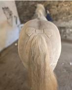 Gezocht stalling/weidegang/24/7, Weidegang, 1 paard of pony