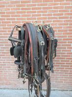 Tekoop: Dubbelspan Marathontuig Full, Dieren en Toebehoren, Paarden en Pony's | Hoofdstellen en Tuigage, Ophalen of Verzenden