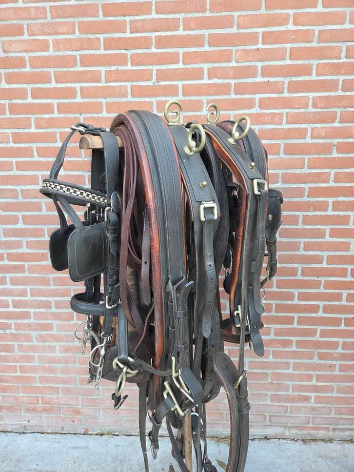 Tekoop: Dubbelspan Marathontuig Full, Dieren en Toebehoren, Paarden en Pony's | Hoofdstellen en Tuigage, Zo goed als nieuw, Overige soorten