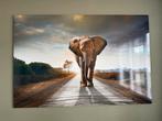 plexiglas schilderij olifant 180 x 120, Ophalen, 125 cm of meer, Zo goed als nieuw, Schilderij