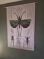 Wanddoek 170x115, Ophalen