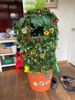 Carnavalskostuum Plantenbak - Zelfgemaakt, Carnaval, Kleding, Gedragen, Ophalen