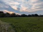 Aangeboden: 24/7 buiten met inloopstal, rijbak + track, Dieren en Toebehoren, Stalling en Weidegang, Weidegang, 2 of 3 paarden of pony's