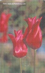 53- Turkije  *Oçak  2007, Ophalen of Verzenden