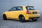Audi S3 1.8T 5V Custom 281PK Porsche remmen OZ ultraleggera, S3, Huisgarantie, Met garantie (alle), 11 km/l