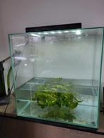 Fluval Edge  | 46L | 43 x 26 x 58CM Zwart Aquarium, Ophalen, Gebruikt, Leeg aquarium