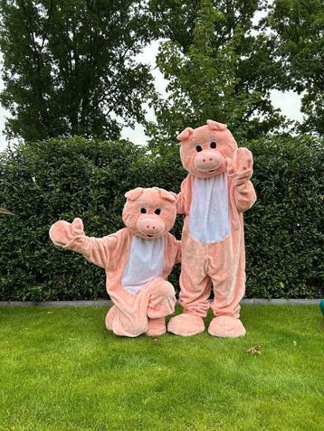 Te Huur: Varkenkostuum, Macotte, Dieren, Carnaval beschikbaar voor biedingen