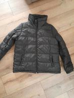 Winterjas Zeeman maat 46, Kleding | Dames, Jassen | Winter, Ophalen of Verzenden, Gedragen, Maat 46/48 (XL) of groter, Zwart