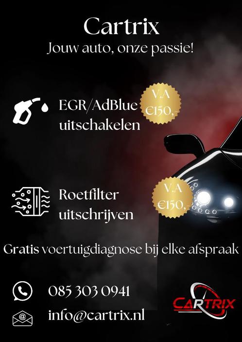 AdBlue, EGR en roetfilter uitschrijven óók op locatie, Auto diversen, Onderhoudsmiddelen, Ophalen