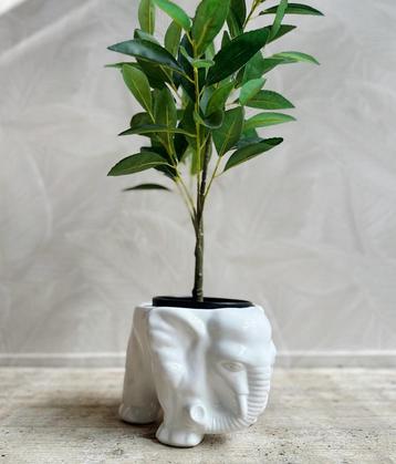 Vintage wit olifantenpot bloempot plantenpot dier beschikbaar voor biedingen
