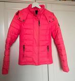 Superdry Roze Zomer Jas Dames XS, Kleding | Dames, Jassen | Zomer, Maat 34 (XS) of kleiner, Ophalen of Verzenden, Roze, Zo goed als nieuw