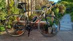 Bulls Harrier, 28 inch, Gebruikt, Meer dan 20 versnellingen, 53 tot 57 cm