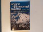 A.L. Jones - Inzicht in vijfdimensionaal bewustzijn, Spiritualiteit algemeen, Overige typen, Ophalen of Verzenden, Zo goed als nieuw