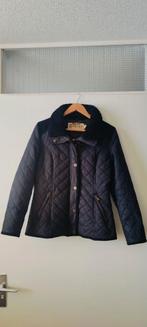 Giacomo zwarte winterjas maat L, Zwart, Maat 42/44 (L), Ophalen of Verzenden, Zo goed als nieuw