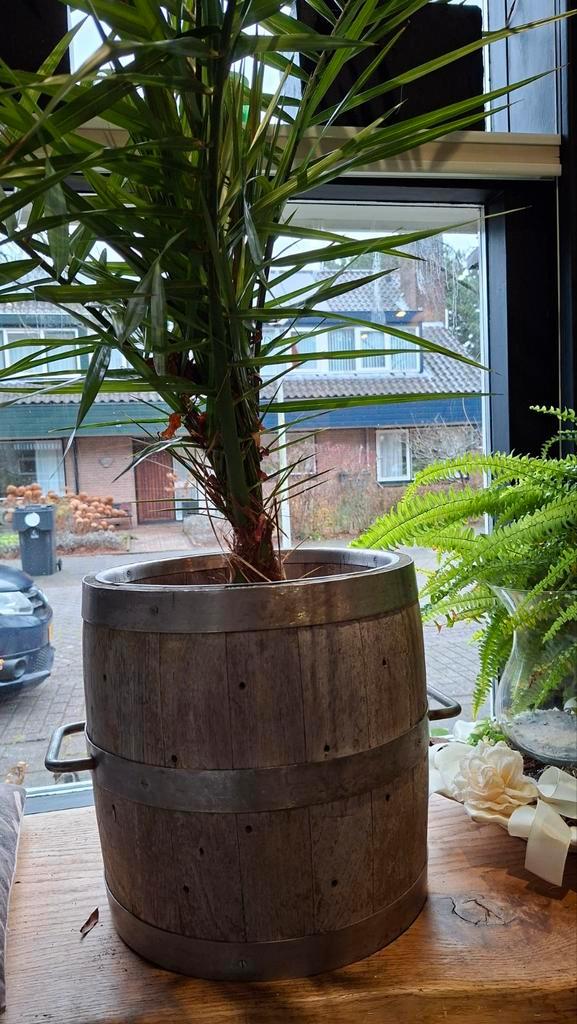 Houten karnton of kaaston met handvatten, Antiek en Kunst, Curiosa en Brocante, Ophalen