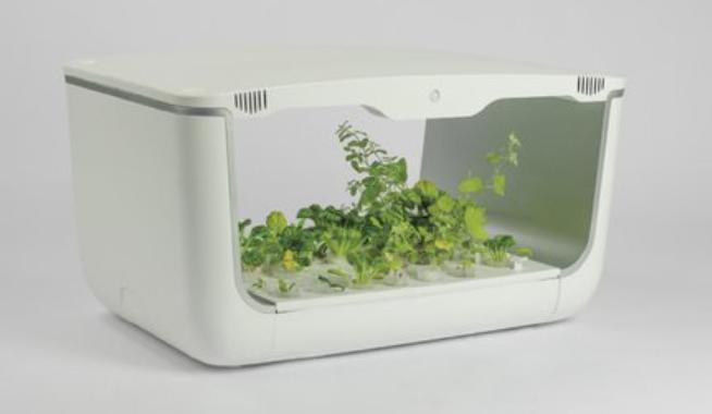 VegeBox Kweekbak voor groente, Tuin en Terras, Kweekspullen, Nieuw, Kweekbak, Ophalen