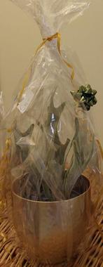 KUNST Prachtige koperkleurige pot met leuke groene, Ophalen, Halfschaduw, In pot, Minder dan 100 cm