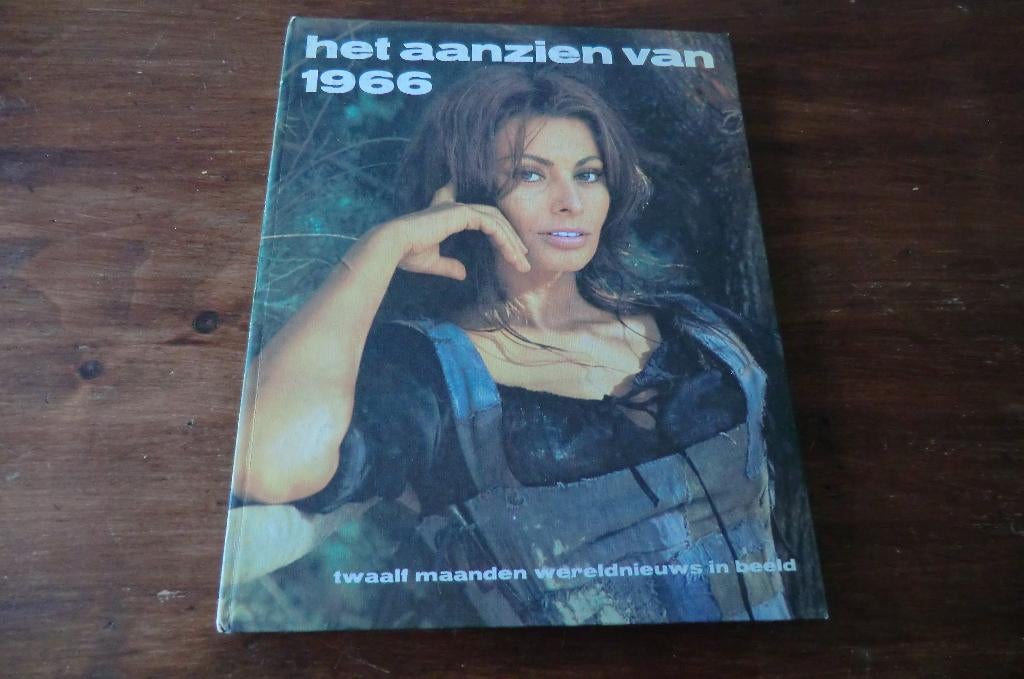 boek - het aanzien van 1966, Boeken, Ophalen of Verzenden, 20e eeuw of later, Gelezen, Overige gebieden