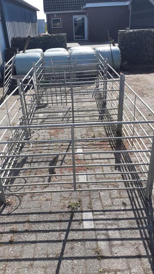Schapehekken., Dieren en Toebehoren, Schapen, Geiten en Varkens, Schaap, Meerdere dieren