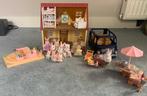 Sylvanian Families Set - Huis, Bus, Trein & Figuren, Ophalen of Verzenden, Gebruikt, Jongen of Meisje
