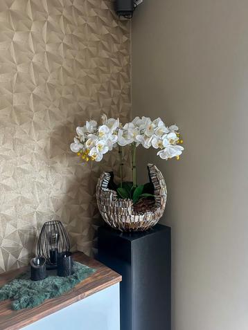 Schelpenvaas beschikbaar voor biedingen