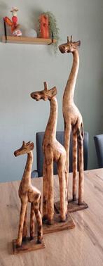 Familie giraffen, Ophalen