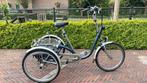 Van Raam driewieler Maxi. 8 versn. Nieuwstaat!, Fietsen en Brommers, Ophalen of Verzenden, Zo goed als nieuw