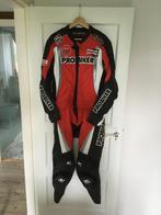 Leren motorpak/combi maat 52, Motoren, Kleding | Motorkleding, Combipak, Heren, Tweedehands, Probiker